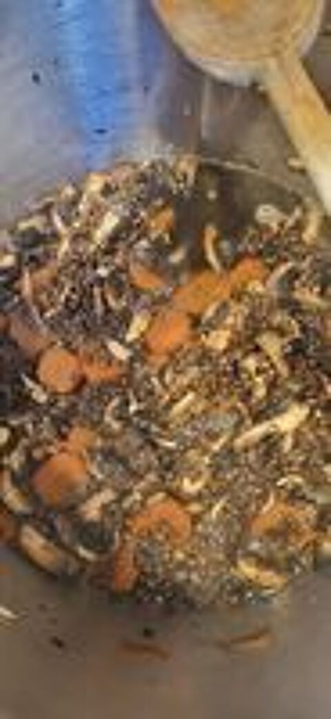   Cours de cuisine végé/vegan à domicile (individuel/famille) 