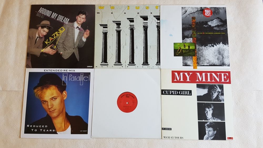 LES MAXI 45T PHOTO 16 CD et vinyles