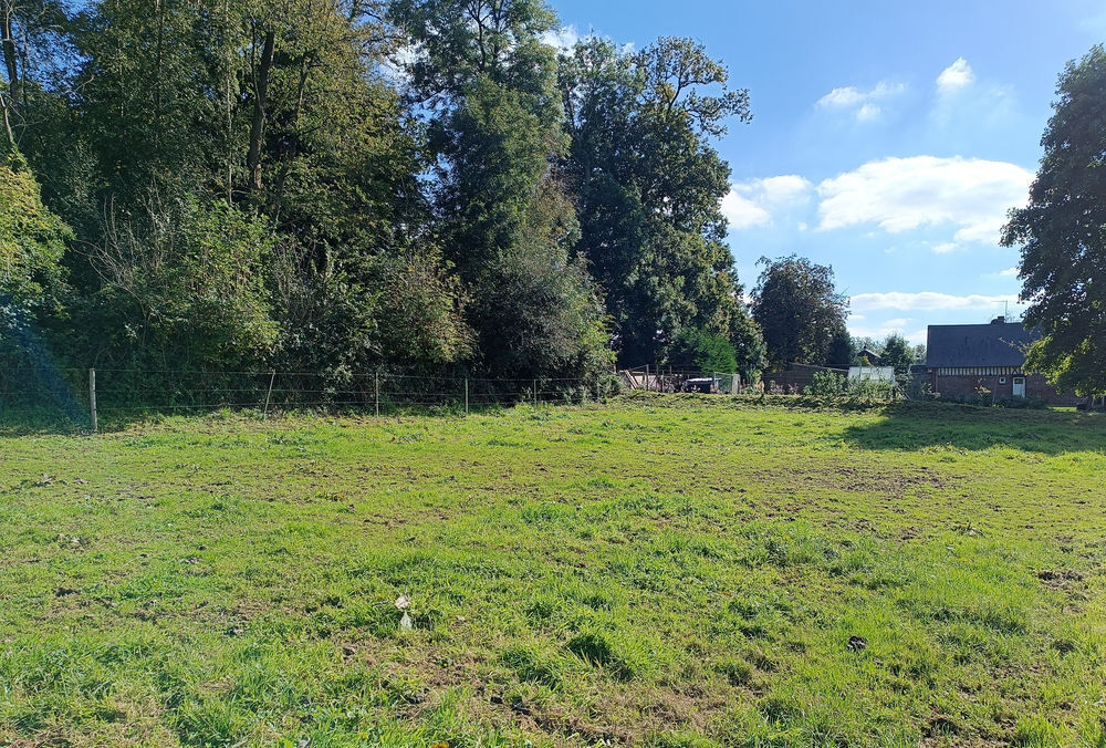 Vente Terrain PROXIMITE SAINT LAURENT EN CAUX, TERRAIN 1.008 m2 Saint-laurent-en-caux
