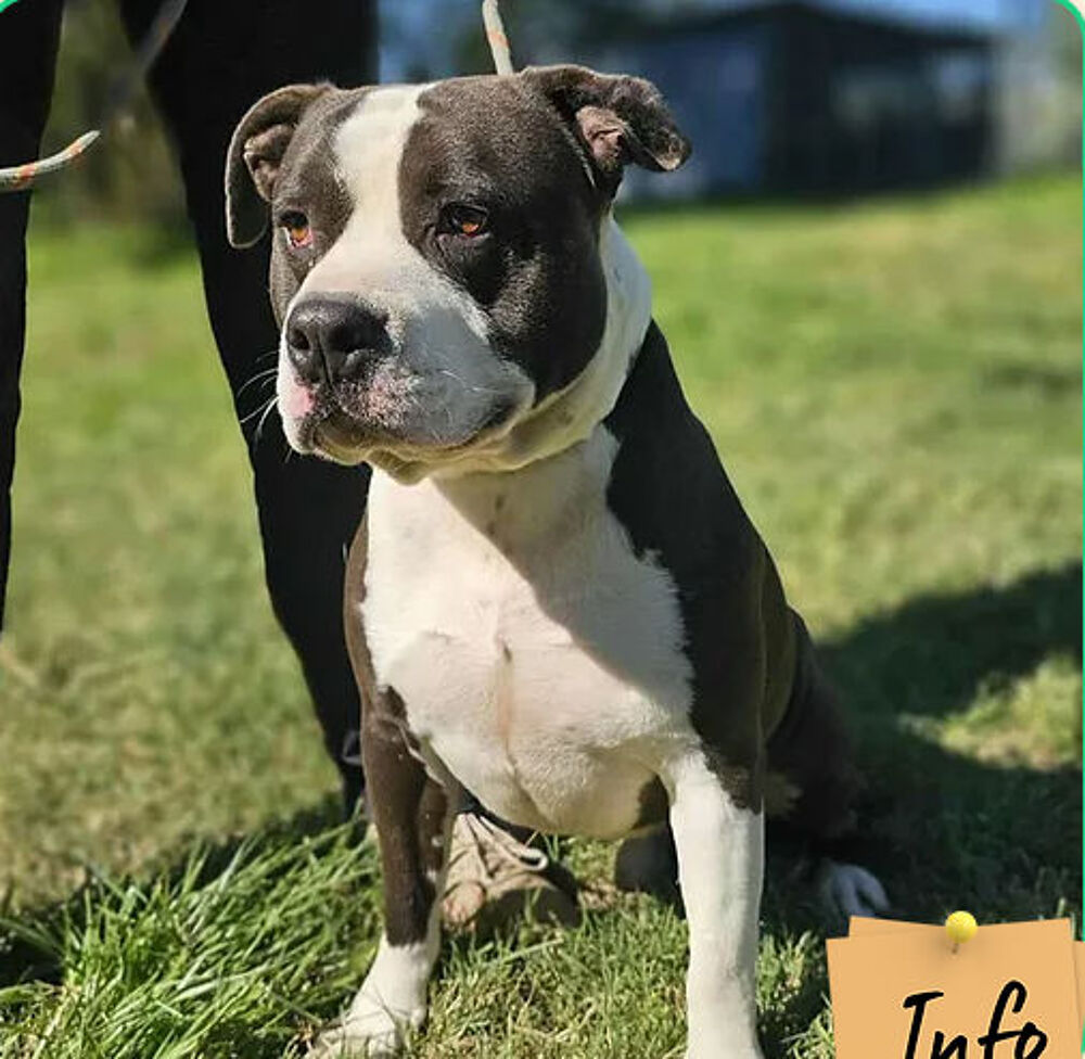   Léo 
