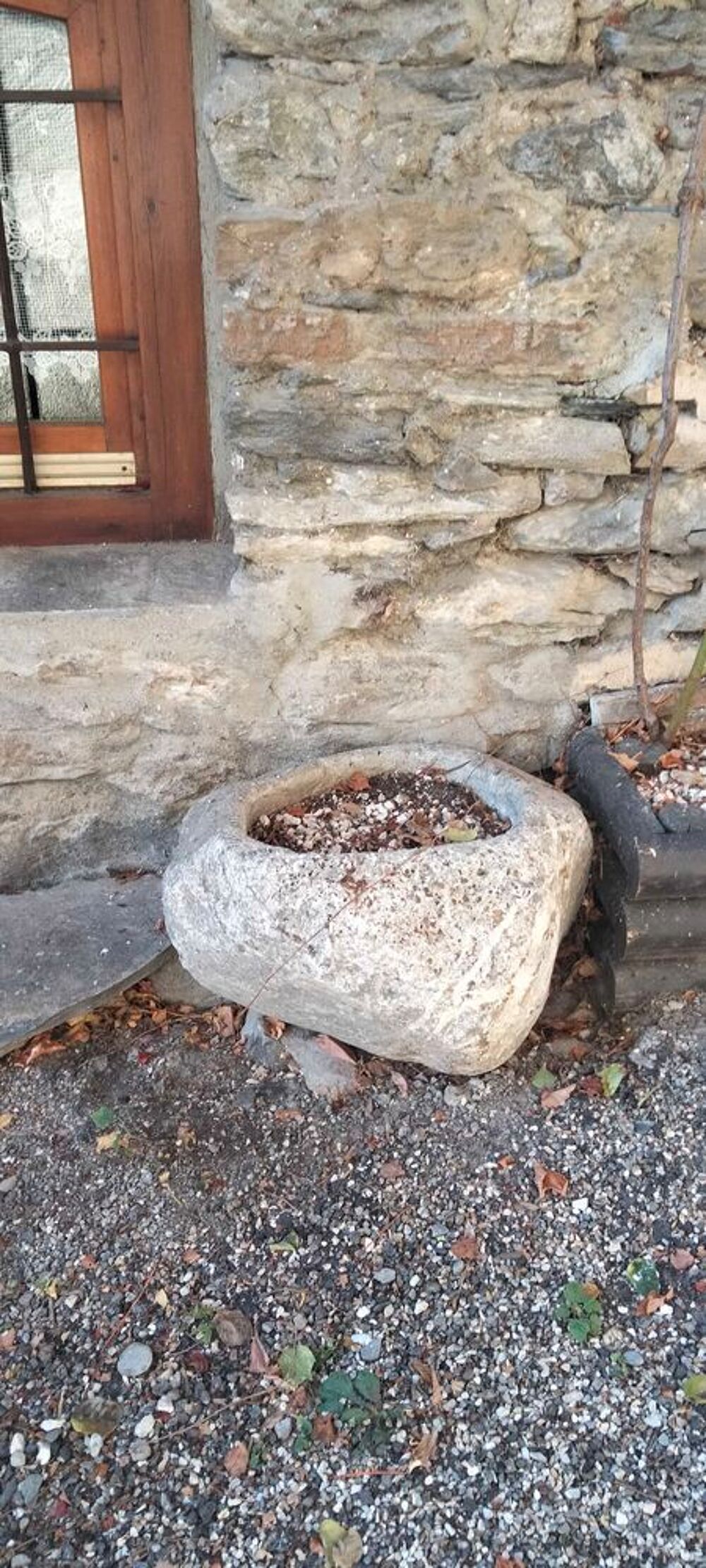 Auge en pierre Jardin