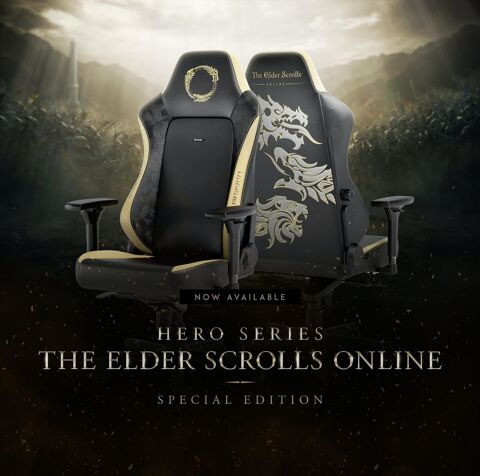Fauteuil gamer Elder Scroll online edition 200 Grandvilliers (60)