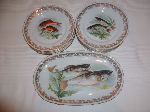 service a  poisson 0 Toulouse (31)