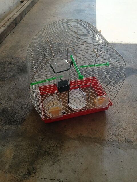 cage pour oiseaux
15 L'Isle-Jourdain (86)