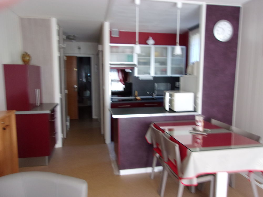 Vente Appartement Bel appartement 38m² au Mont Dore Mont-dore