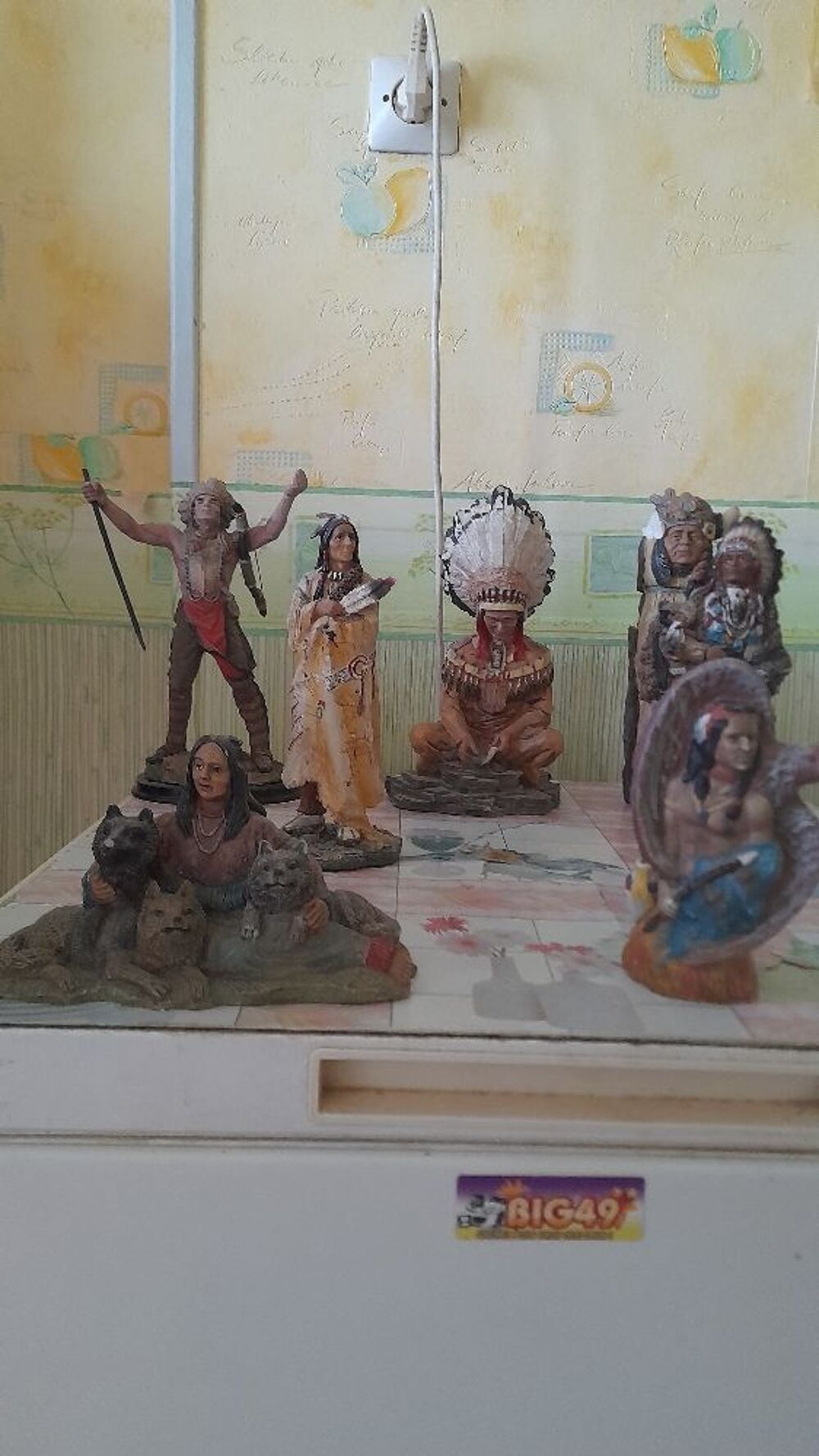 collection indien 