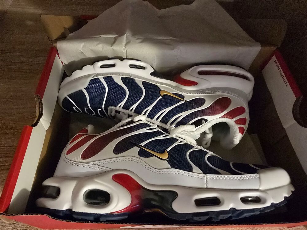 Nike Air Max Plus TN Requin PSG Chaussures