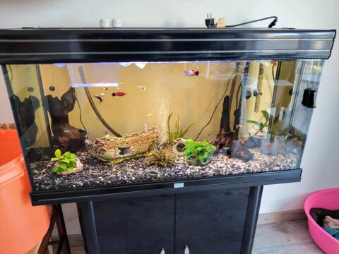 AQUARIUM AQUADISIO DE 166 LITRES 150 45630 Beaulieu-sur-loire
