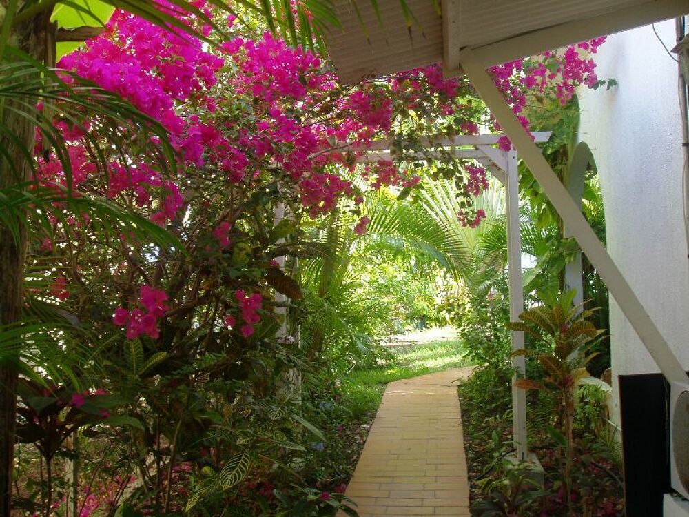Location Appartement F1. 2 terrasses , jardin tropical Saint-françois