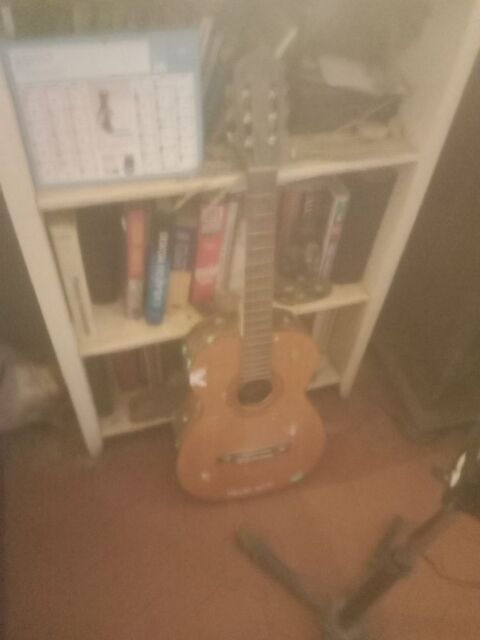 Guitare s�che Valr�as (84)