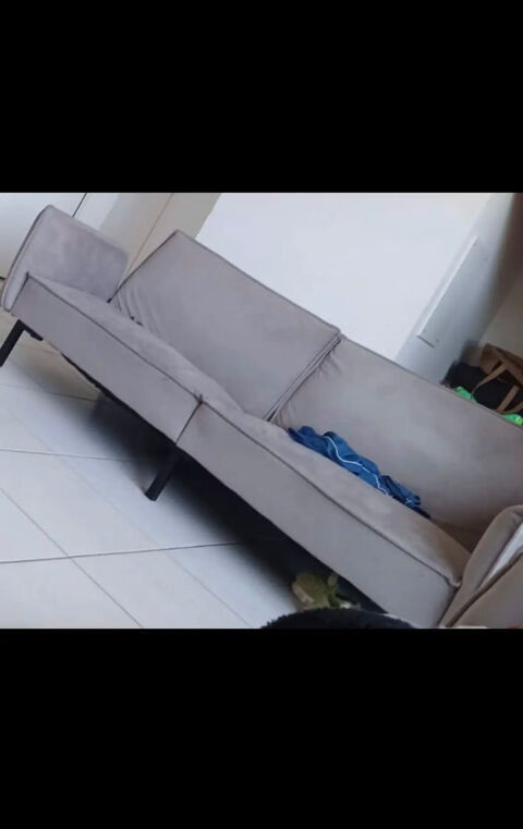 2 Canap� en velours 135 Arpajon (91)