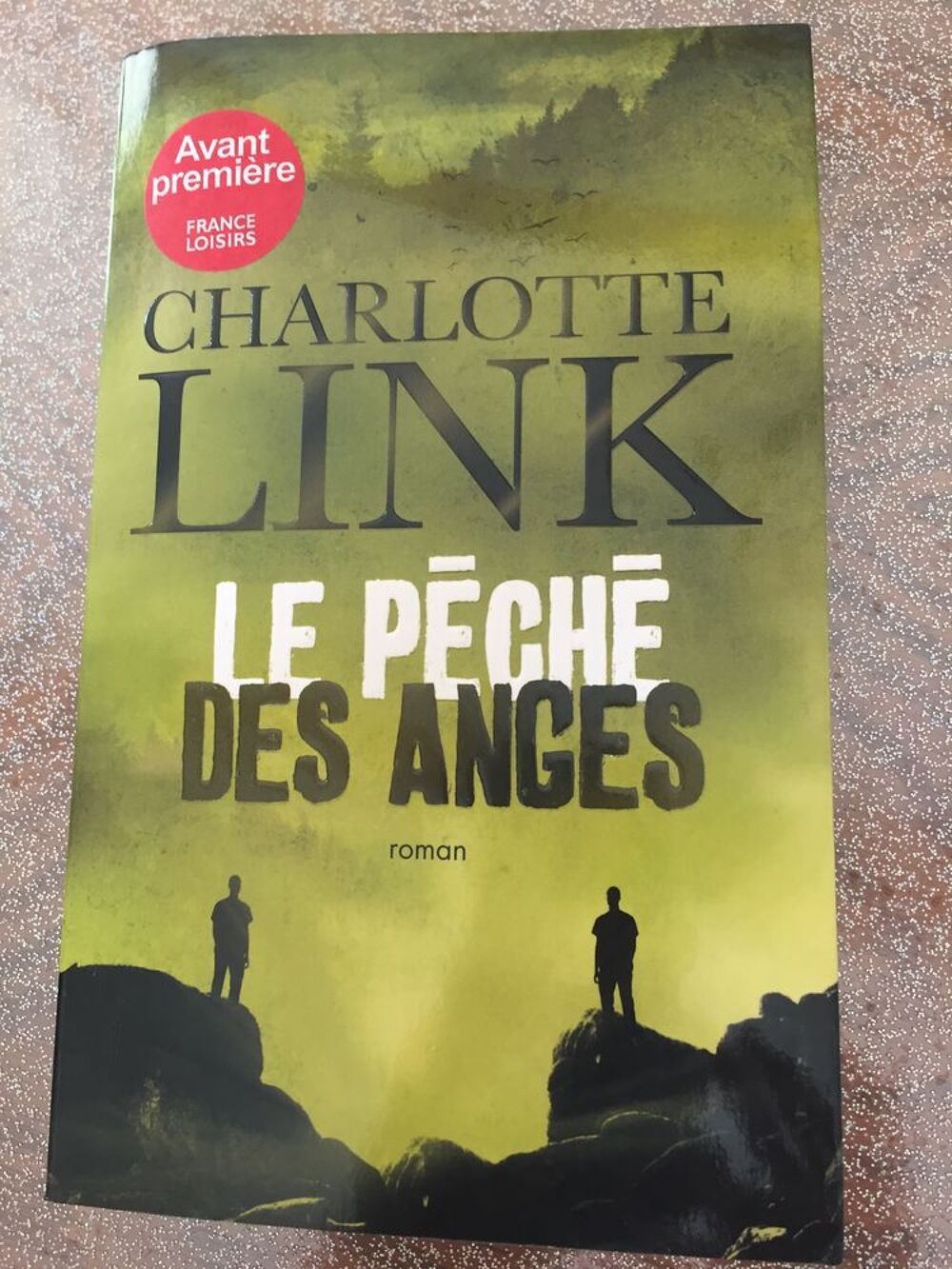 Le p&eacute;ch&eacute; des anges Livres et BD