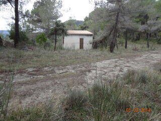  Terrain  vendre 11916 m Peille