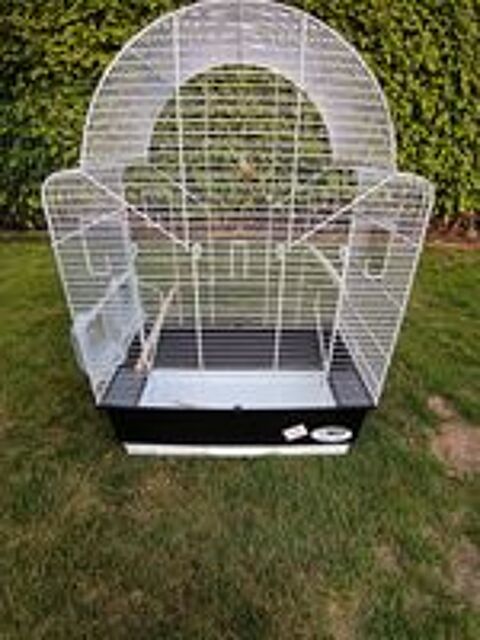   Cage oiseau 