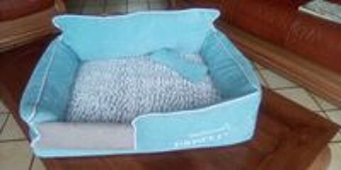   2 couchages pour chien (petit ou moyen) 