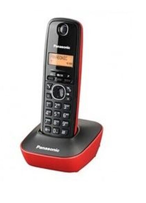 Téléphone sans fil Panasonic KX-TG1611SPR  29 Tarare (69)