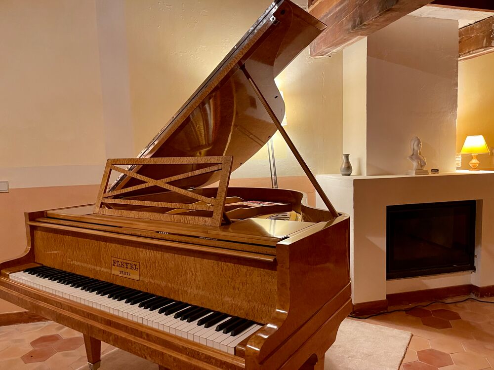 Piano Pleyel 165cm de 1931 - Enti&egrave;rement r&eacute;nov&eacute; ! Instruments de musique