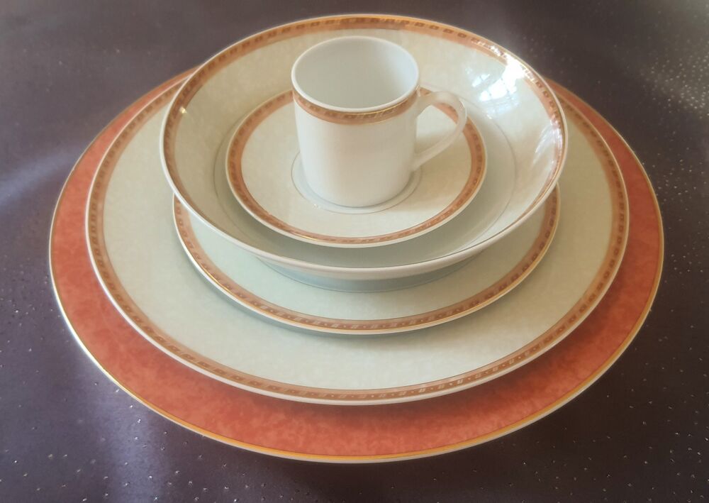 Service R&eacute;my Delini&egrave;res 80 pi&egrave;ces Porcelaine de Limoges Décoration