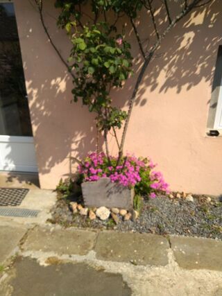  Maison à vendre 8 pièces 107 m² Massérac