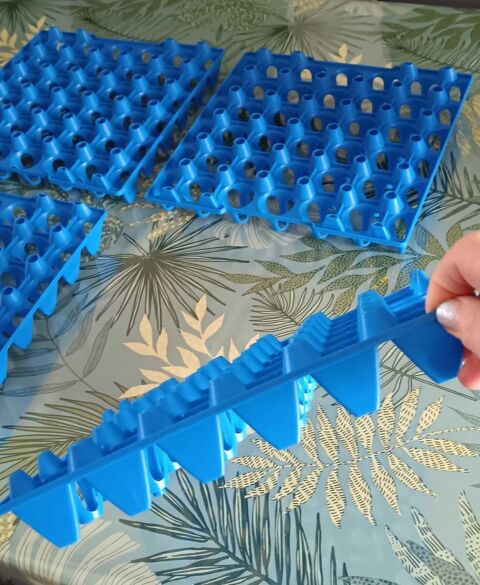 Lot de 4 plateaux �   oeufs 10 Auppegard (76)