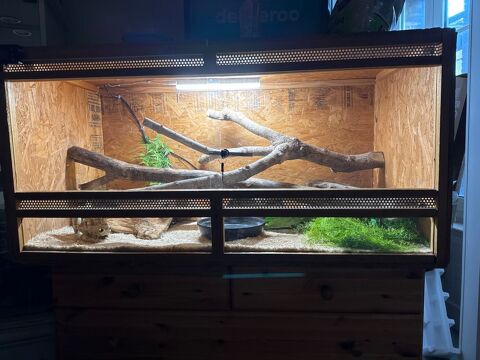 Python  regouis 150 10000 Troyes