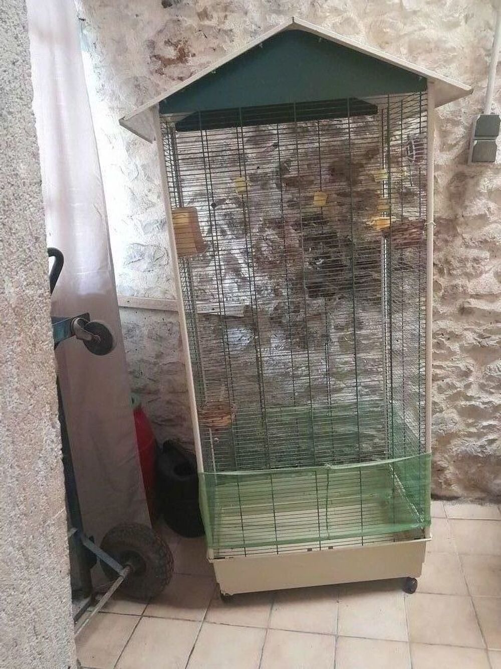   Av 2 cages oiseaux 