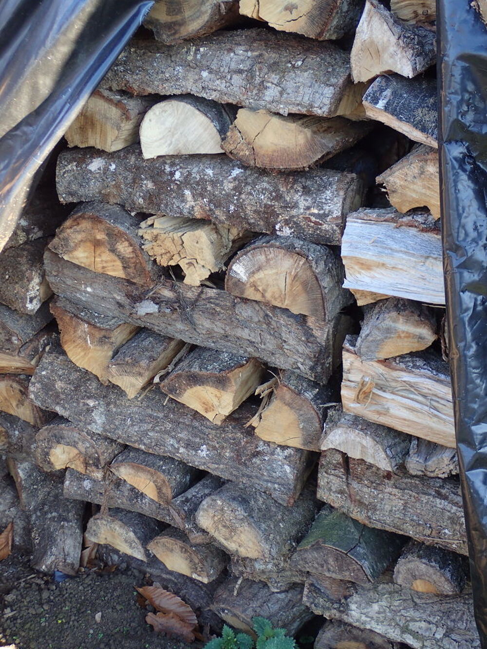 bois de chauffage Bricolage
