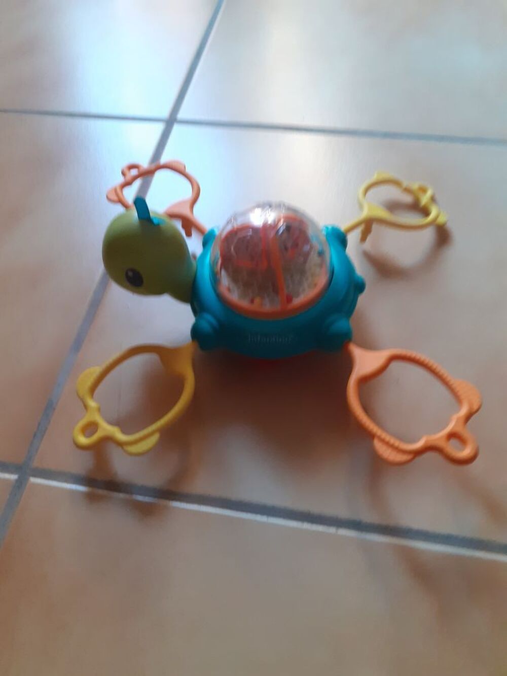 Tortue infantino Puériculture
