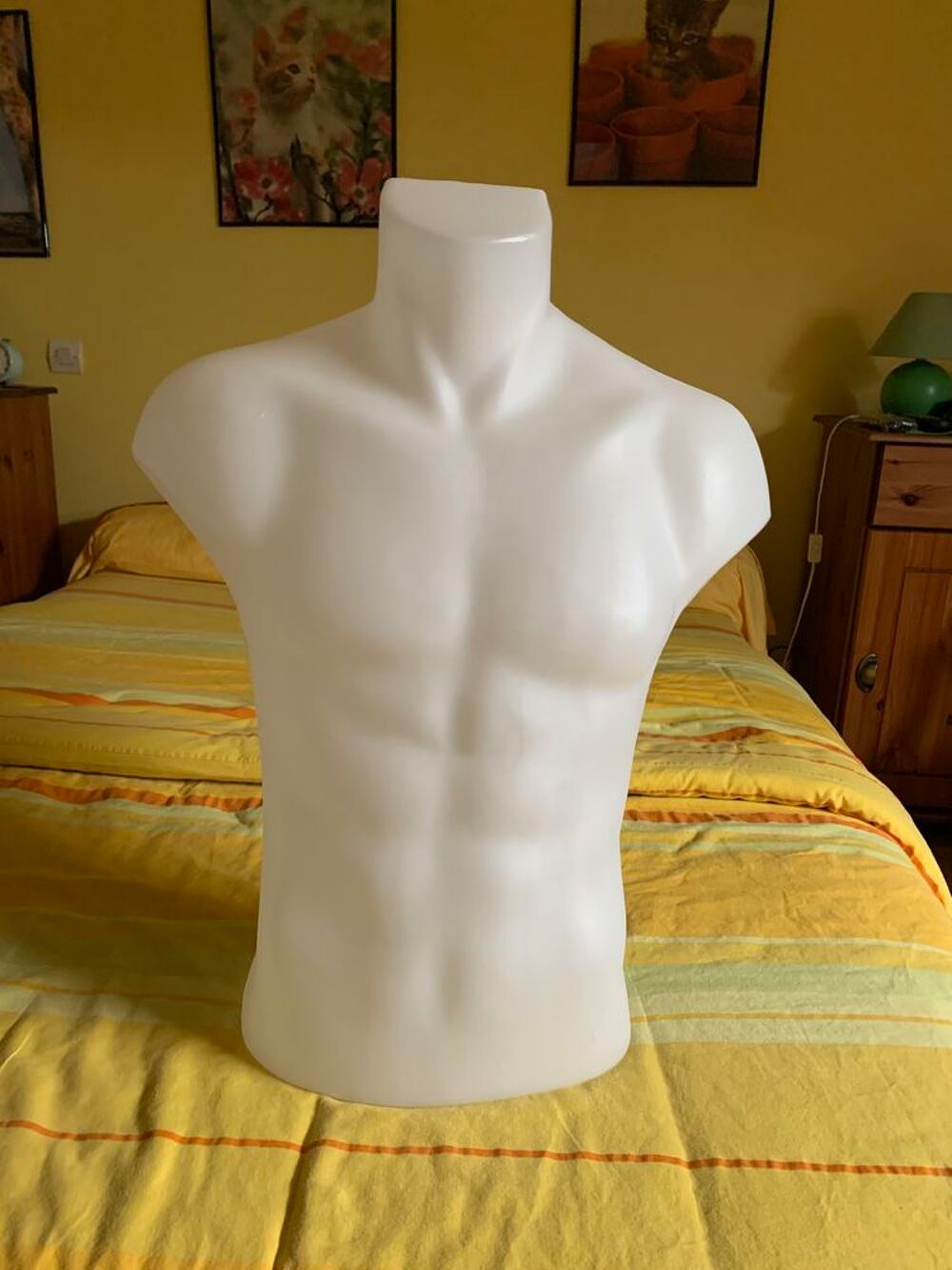 Buste en pvc Décoration