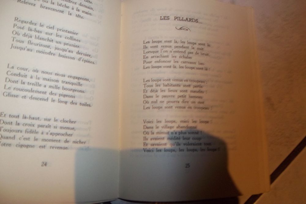 Ouragan sur le beau jardin 1945 Livres et BD