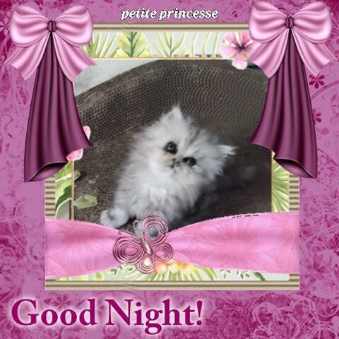 CHATONS   PERSAN 750 30340 Rousson