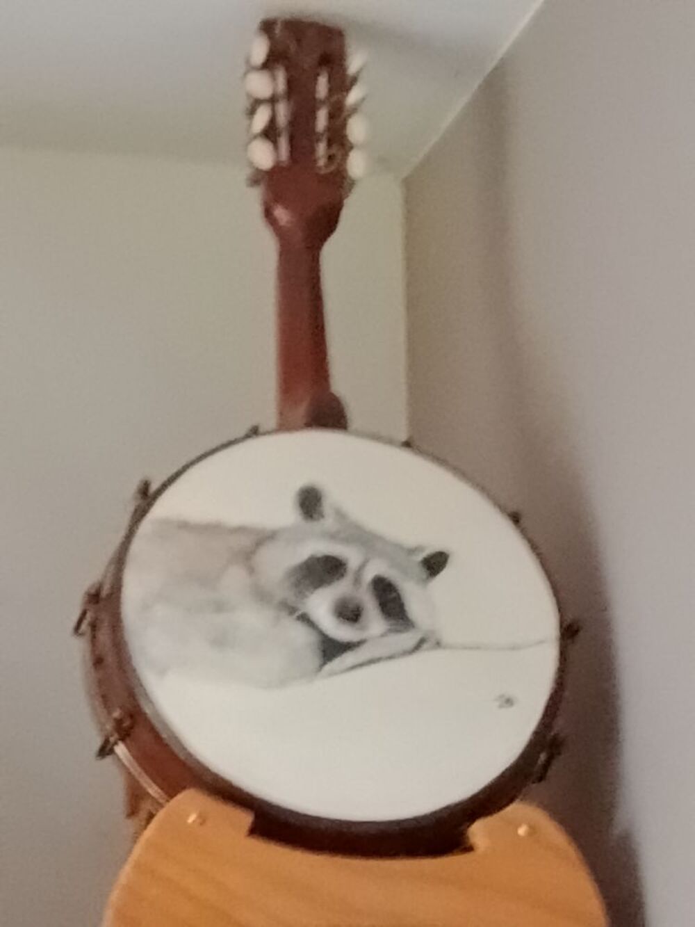 Banjos mandolines avec peintures d'animaux Instruments de musique