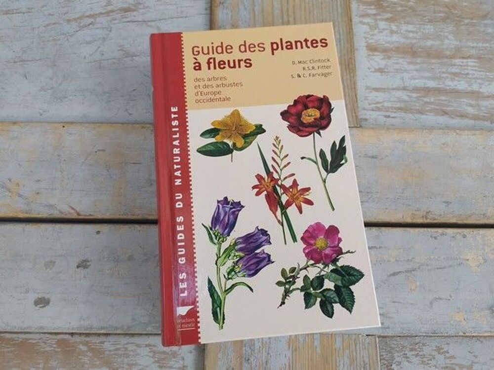 Livre Delachaux et Niestl&eacute; Guide des Plantes &agrave; Fleurs 
Livres et BD
