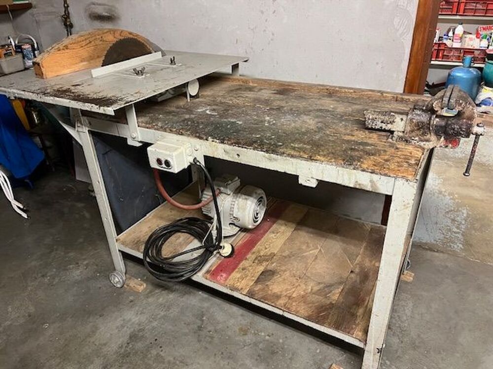 Scie circulaire mont&eacute;e sur &eacute;tablie Bricolage