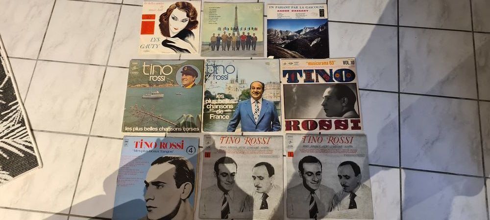 Divers disques vinyle CD et vinyles