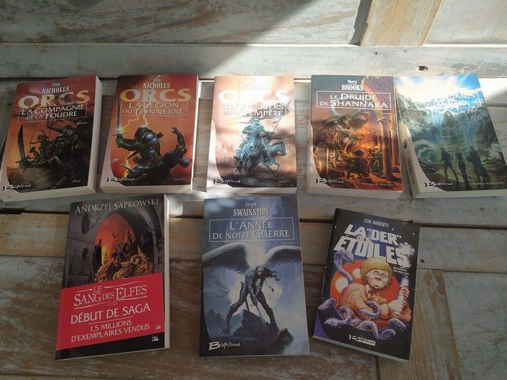 Lot Livres Romans Fantastiques Collection Bragelonne Livres et BD