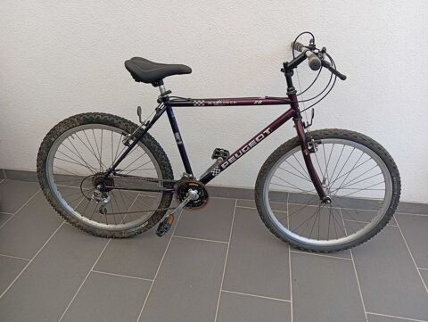 vélo VTT vintage 75 Ernestviller (57)