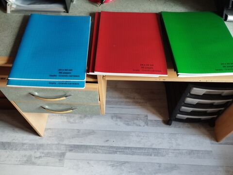 Lot de 9 cahiers gd format et grands carreaux Le Quesnoy (59)