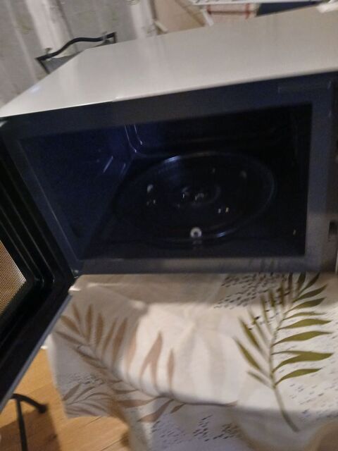 Micro-Ondes 100 Besan�on (25)