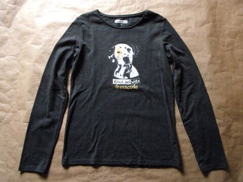 Tee shirt en taille 14 ans 1 Montaigu-la-Brisette (50)