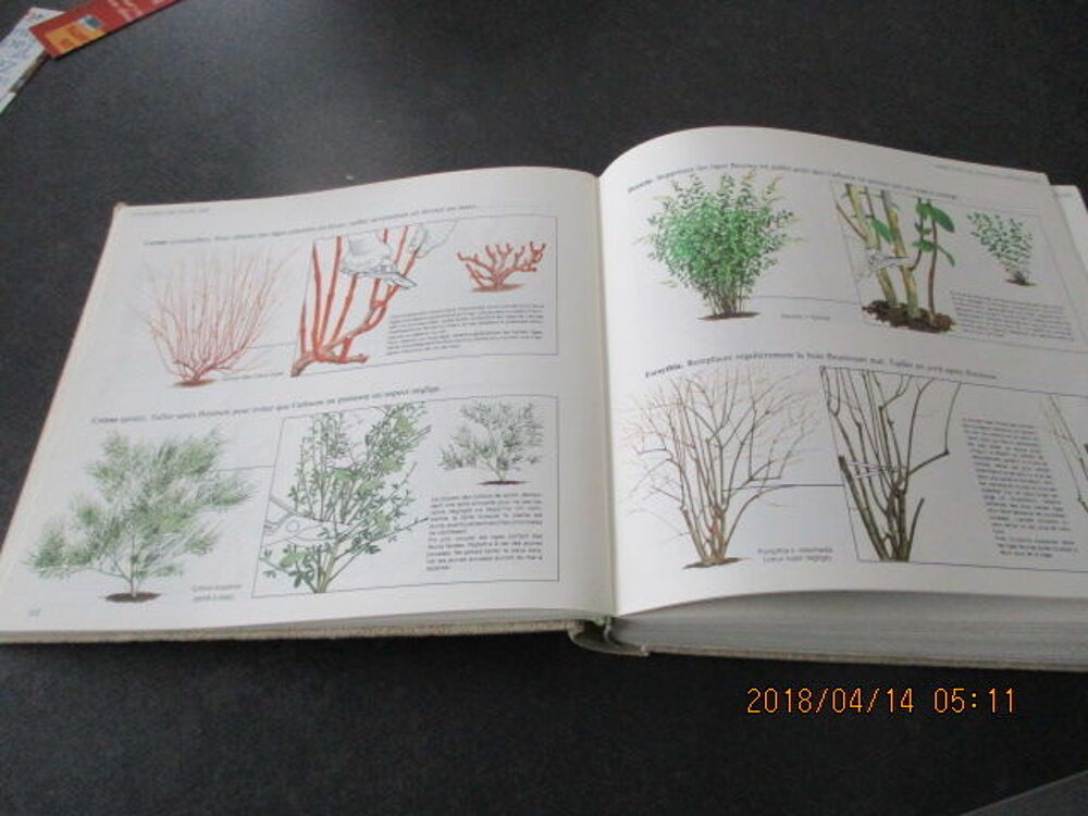 Livre Livres et BD