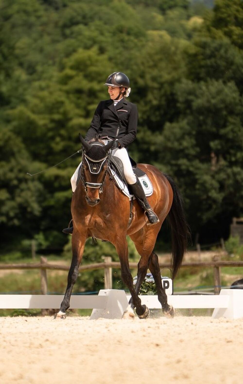   Cheval dressage 9 ans pour St George mini 
