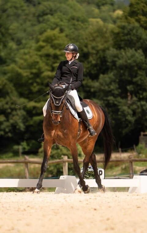Cheval dressage 9 ans pour St George mini 36000 38160 Saint-antoine-l'abbaye