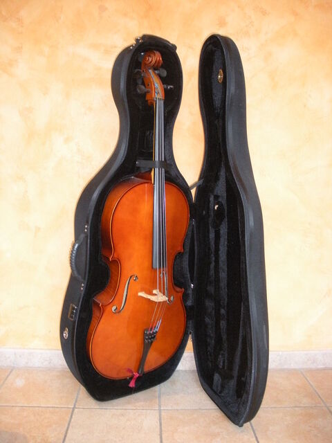violoncelle 1700 Modane (73)
