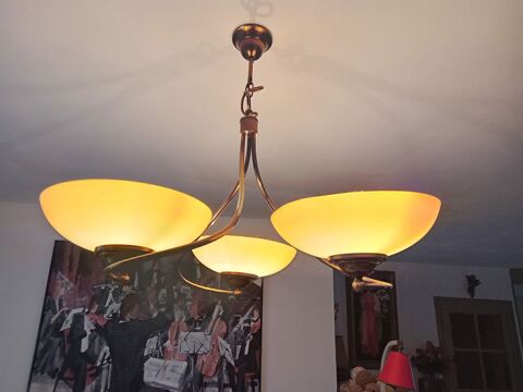 lampe suspension 30 Prunay-en-Yvelines (78)