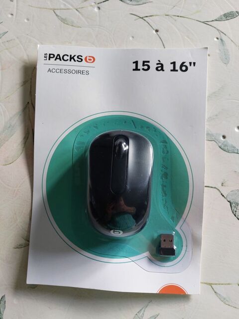 souris d'ordinateur 15 Beauquesne (80)