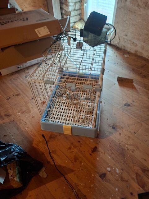 CAGE+POUR+LAPIN 80 Chiz� (79)
