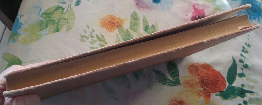 LE PETIT CHASSEUR DE PANTHERES N&deg;1 &agrave; 50 1928 ARNOULD GALOPIN Livres et BD