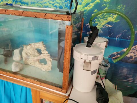 Aquarium 50 78180 Montigny-le-bretonneux