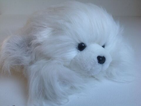 CHIEN BLANC EN PELUCHE AJENA NEUVE Envoi possible
8 Tr�gunc (29)